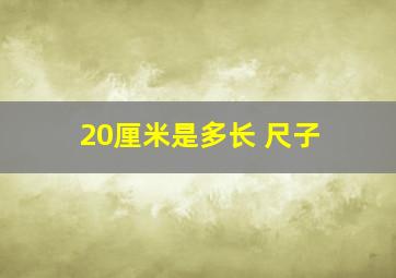 20厘米是多长 尺子